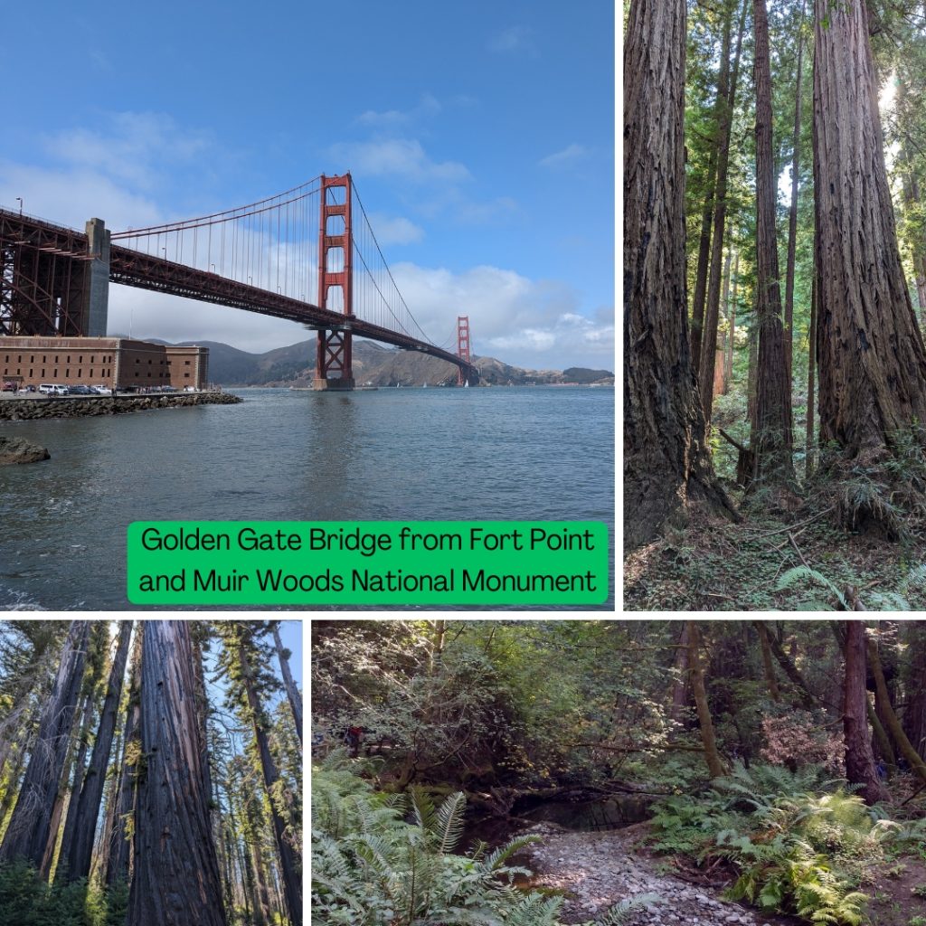 A view of the Golden Gate Bridge from Fort Point, three views of the giant redwoods in Muir Woods National Monument.